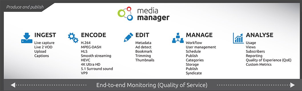 switch-media-manager-overview