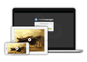 Switch Media Manager - video content management system